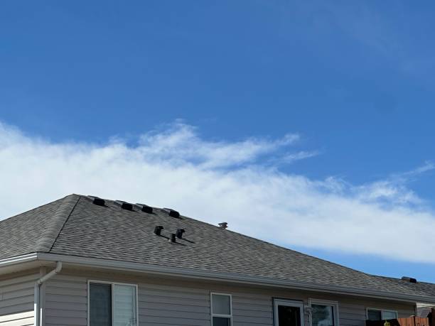 Skylights in Tignall, GA